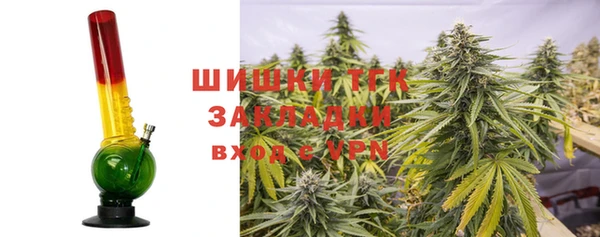 эйфоретик Горняк