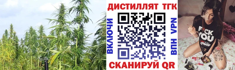 где купить   Данилов  Дистиллят ТГК концентрат 