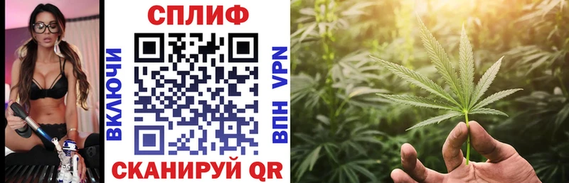 Канабис SATIVA & INDICA  omg   Данилов  купить наркоту 